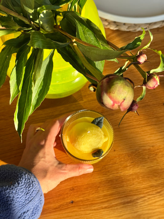Zitronella-Kerze im Glas