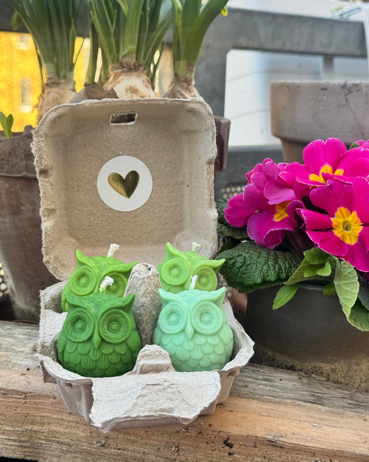 4 Eulenkerzen in grün